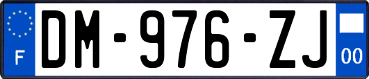 DM-976-ZJ