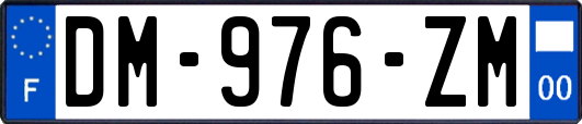 DM-976-ZM