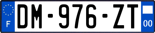 DM-976-ZT