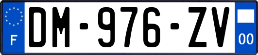 DM-976-ZV