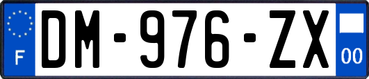 DM-976-ZX