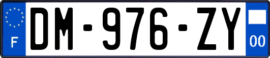 DM-976-ZY