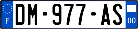 DM-977-AS