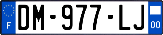DM-977-LJ