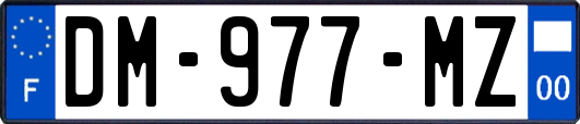DM-977-MZ