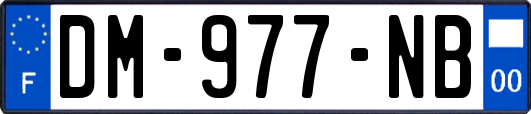 DM-977-NB