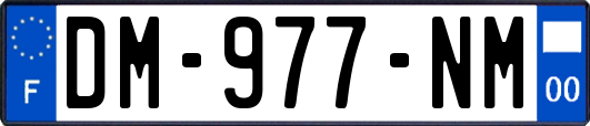 DM-977-NM