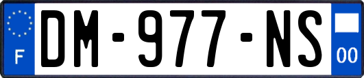 DM-977-NS