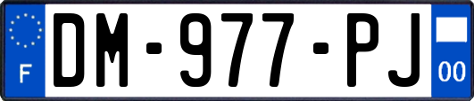 DM-977-PJ