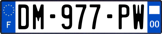 DM-977-PW