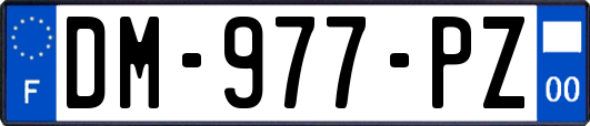 DM-977-PZ