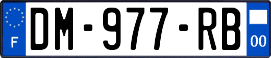 DM-977-RB
