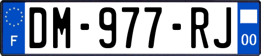 DM-977-RJ