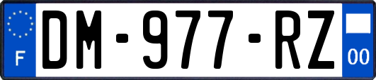 DM-977-RZ
