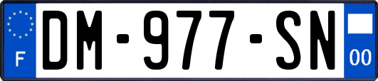 DM-977-SN