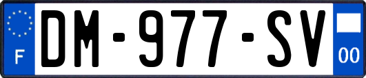 DM-977-SV