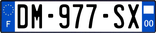 DM-977-SX