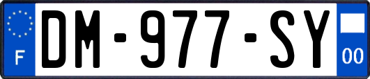 DM-977-SY
