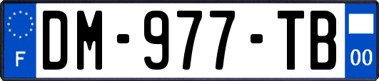 DM-977-TB
