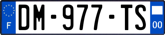 DM-977-TS