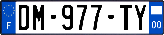 DM-977-TY
