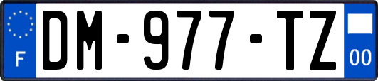 DM-977-TZ