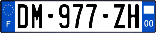 DM-977-ZH