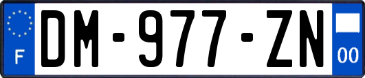 DM-977-ZN