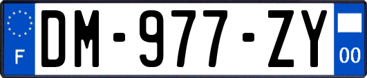 DM-977-ZY