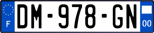 DM-978-GN