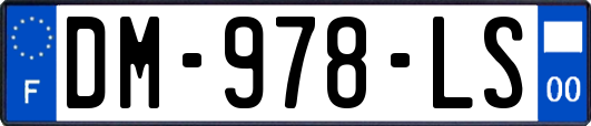 DM-978-LS