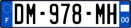 DM-978-MH