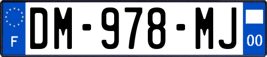 DM-978-MJ