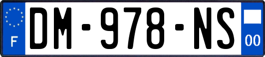 DM-978-NS