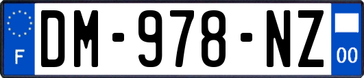 DM-978-NZ
