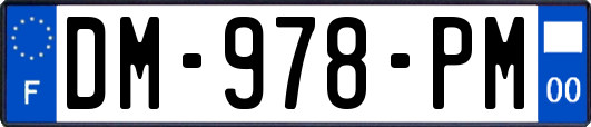 DM-978-PM