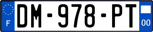 DM-978-PT