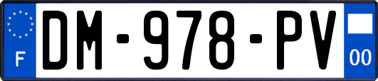 DM-978-PV