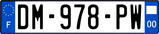 DM-978-PW