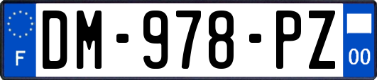 DM-978-PZ