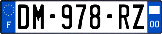 DM-978-RZ