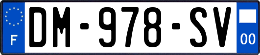 DM-978-SV