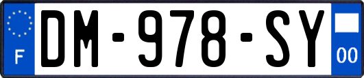 DM-978-SY