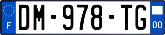 DM-978-TG