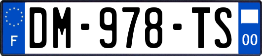 DM-978-TS