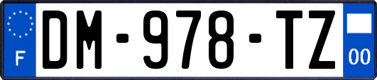 DM-978-TZ