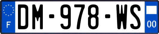 DM-978-WS