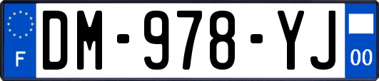 DM-978-YJ