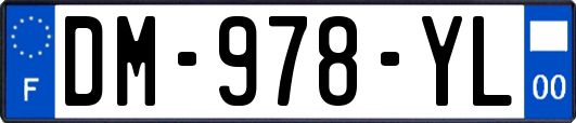 DM-978-YL