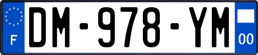 DM-978-YM